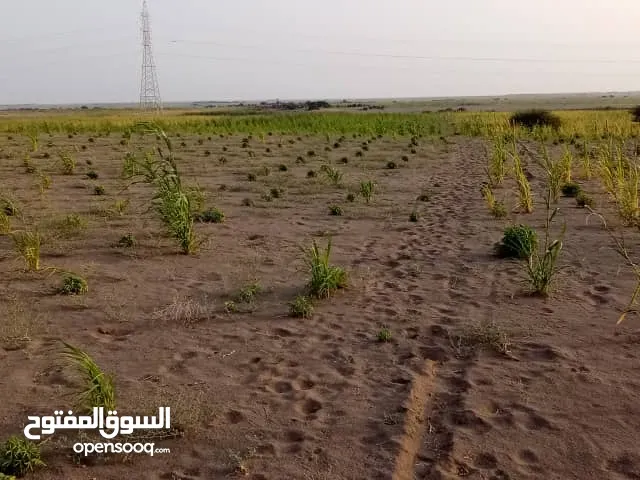 ارض زراعيه
