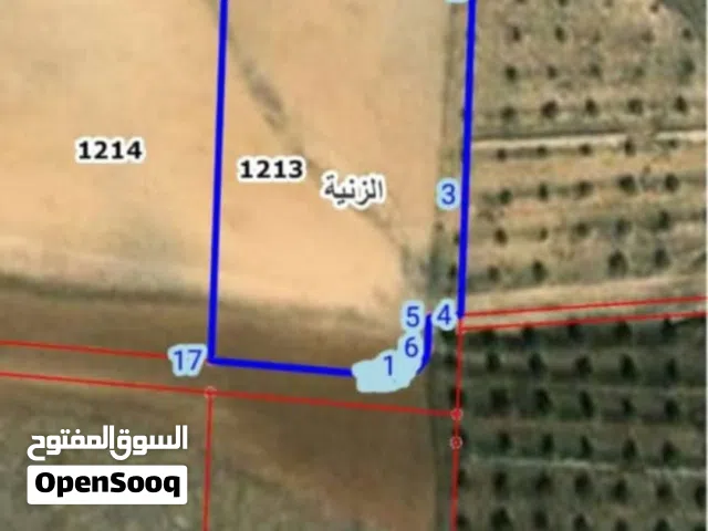 ارض للبيع ب سعر حرق