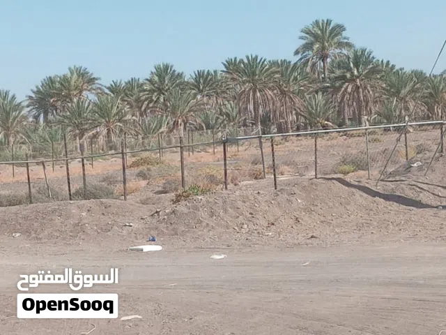 Farm Land for Sale in Al Sharqiya Al Mudaibi