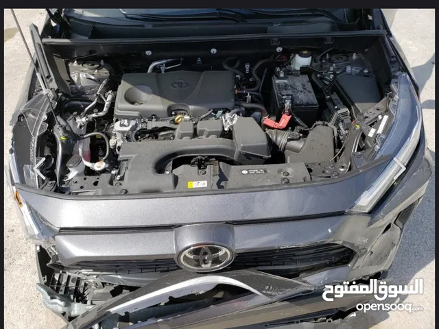 راف فور 2024