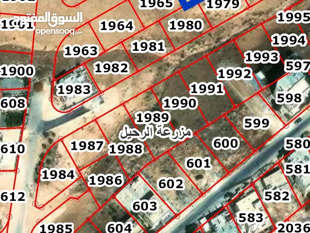 Residential Land for Sale in Zarqa Al-Bustan