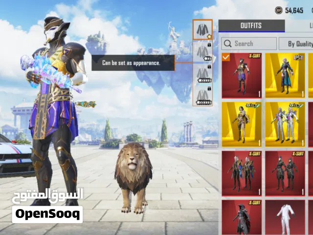 PUBG ACCOUNT FOR SALE
