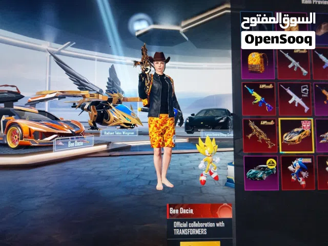 PUBG Account  For Sale