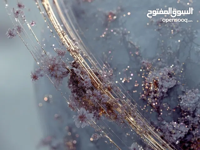 شقة للبيع بن عاشور ارضية بجناناتها  شهادة عقارية الله يبارك