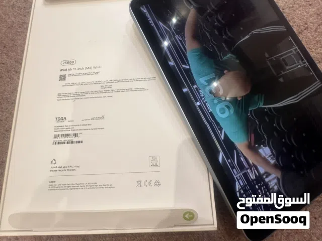 256GB Pad Air 11-inch (M3) Wi-Fi