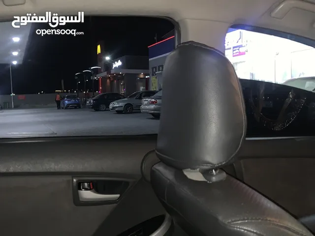 مطلوب جرو بيتبول او روت للتبني