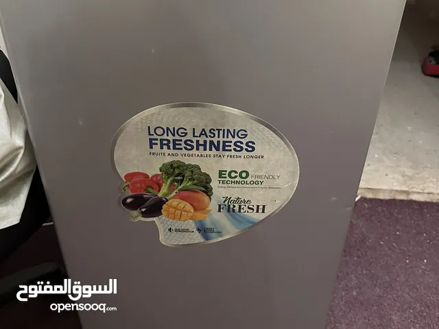 Electrolux Refrigerators in Abu Dhabi