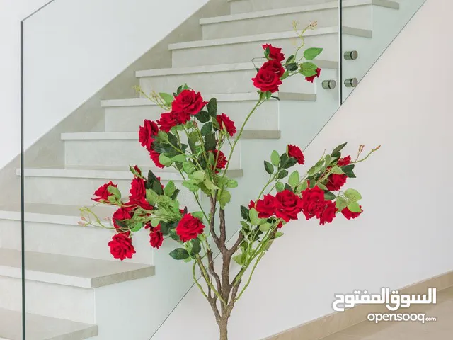 اشجار ديكور داخلية عالية الجودة