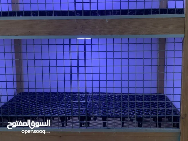 السلام عليكم ورحمة الله وبركاته متاح بارتي ثلاثي نظيف باقي الشرح ف الوصف
