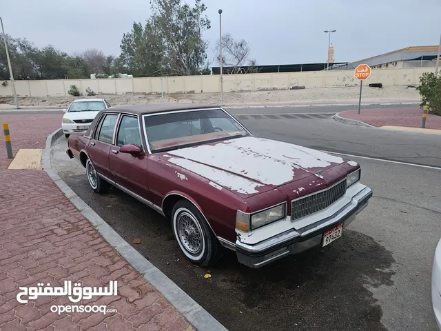 1986 Other Other in Abu Dhabi