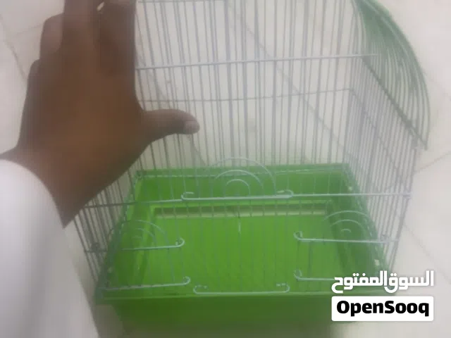 قفص عصفور وتر ترواح الشرايين حقة تدريب الشرايين والصقور