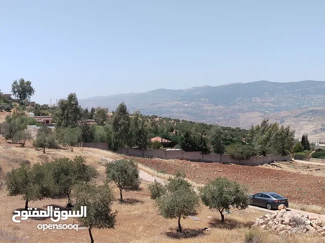 Farm Land for Sale in Jerash Al-Mastaba