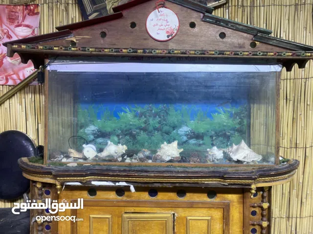 حوض اسماك حوض مال سمك قياس ارض متره وعشرين وطول 60 وعرض 40 مع ماطور واحجار الحوض