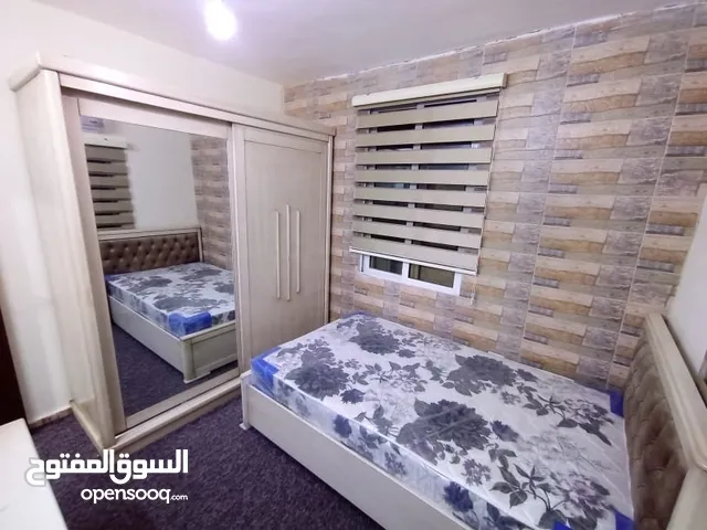 Furnished Monthly in Irbid Other