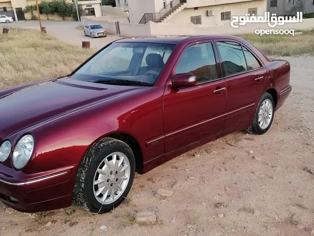 قرش ونص 2001 ايليجنس