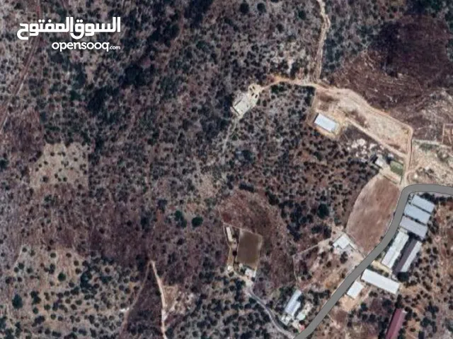 قطعة أرض مثالية للبناء السكني في واحدة من أجمل بلدات طولكرم بلعا