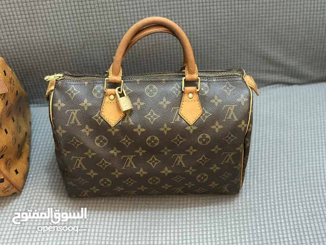 Louis vuitton bag authentic