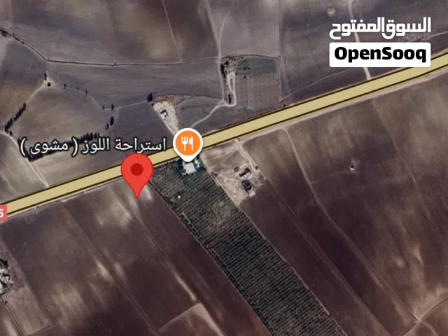 ارض فلاحيه خصبه لجميع اختصاصات الفلاحين مساحتها 2.60 هكتار