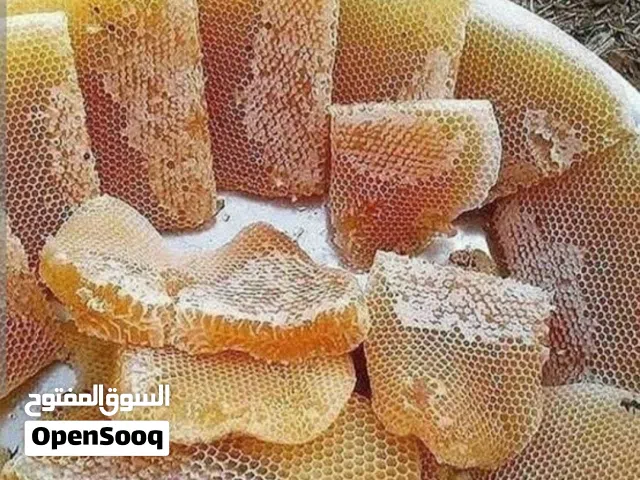 Send a WhatsApp message