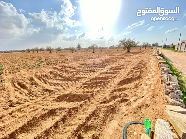 عقار أرض سكنية زراعية للبيع - مصراتة - طمينة - بالقرب من شيل الزيداني -1.5 هكتار