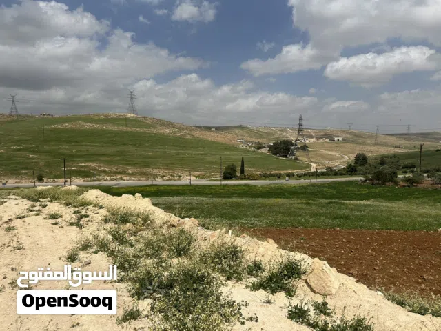 Residential Land for Sale in Amman Shafa Badran