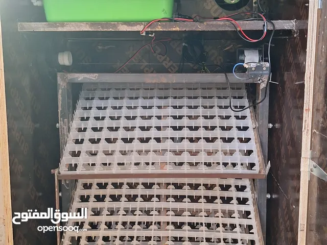 فقاسة للبيع 264بيضة مع معدات للفقاسة