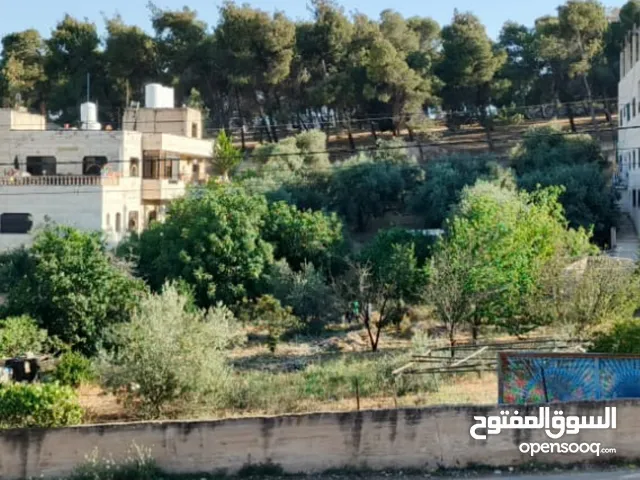 Residential Land for Sale in Amman Al Yadudah