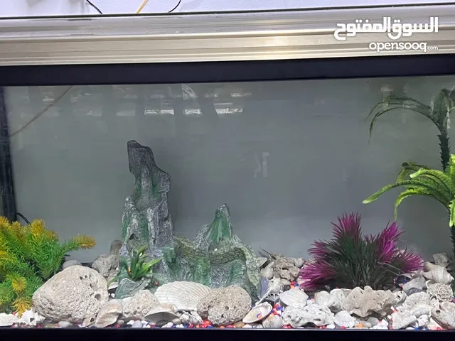 Fish tank urgent sale