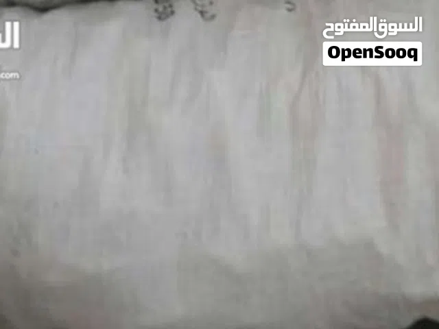 يوجد شكرت خبزه اغنام مهيش مكسره  شكره وحده للبيع السعر 20