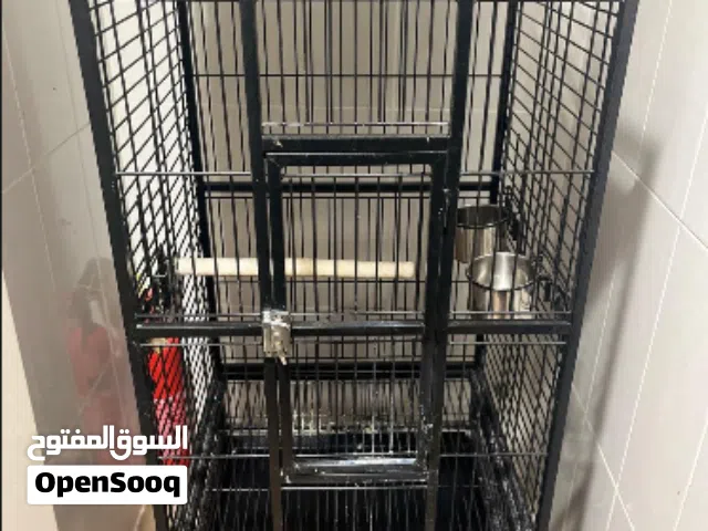 قفص طيور أنيق للبيع – جودة عالية وتصميم عملي  Premium Bird Cage for Sale – Elegant & Durable