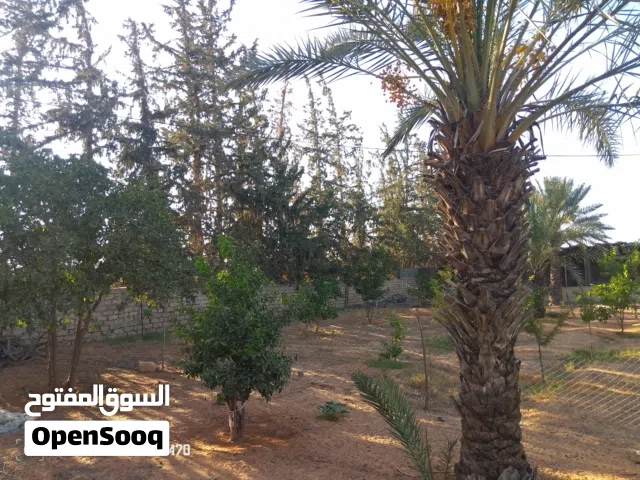 ارضة تجارية ف بن عاشور ع الرئسي قرب الحرابة