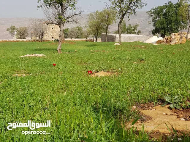 Mixed Use Land for Sale in Salt Al Balqa'