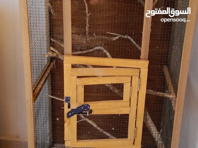 سزنة عصافير