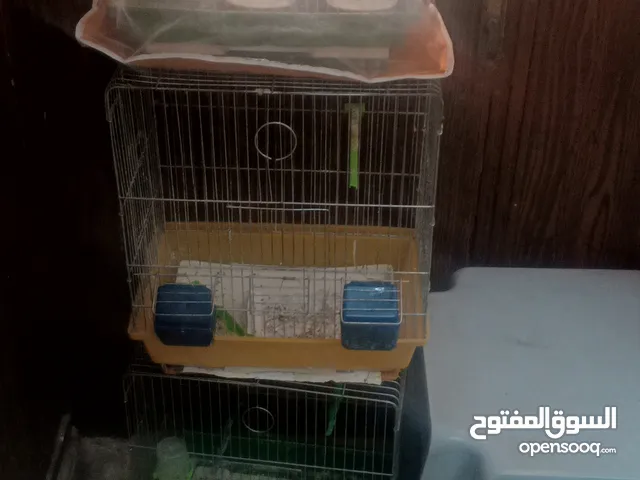 اقفاص بحالة الوكالة