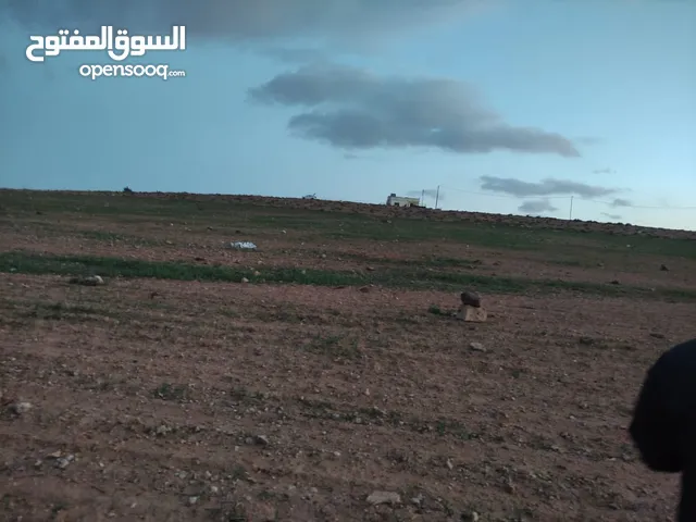 ارض للبيع في المفرق صرة