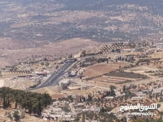 3600متر مزروعات باشجار الزيتون كامل القطعة مطلة وكاشفة