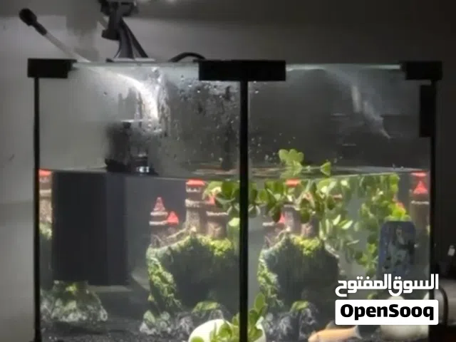 ..اسماكFor sell fish whit aquarium