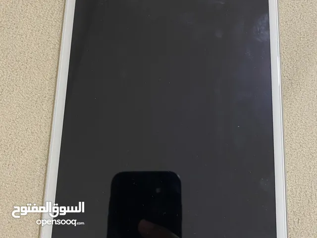 iPad mini 2