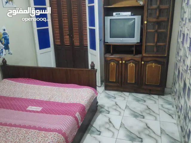 60 m2 2 Bedrooms Apartments for Rent in Alexandria Miami