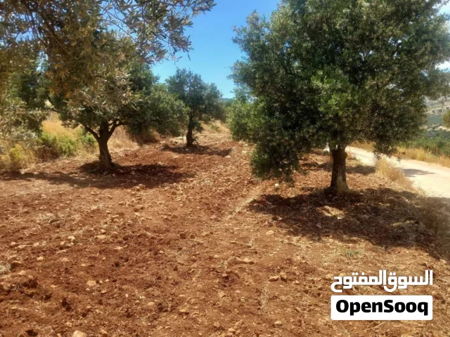ارض سكنية تجارية زراعية