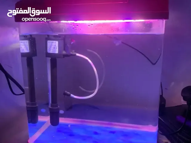 حوض مع سمك زينه