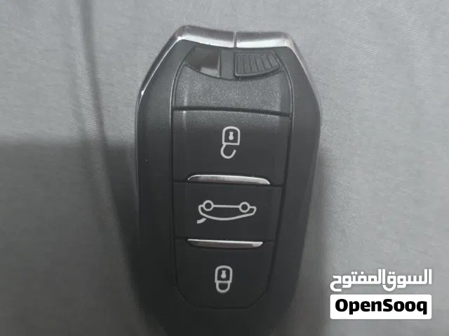 2024 بيجو اخرى