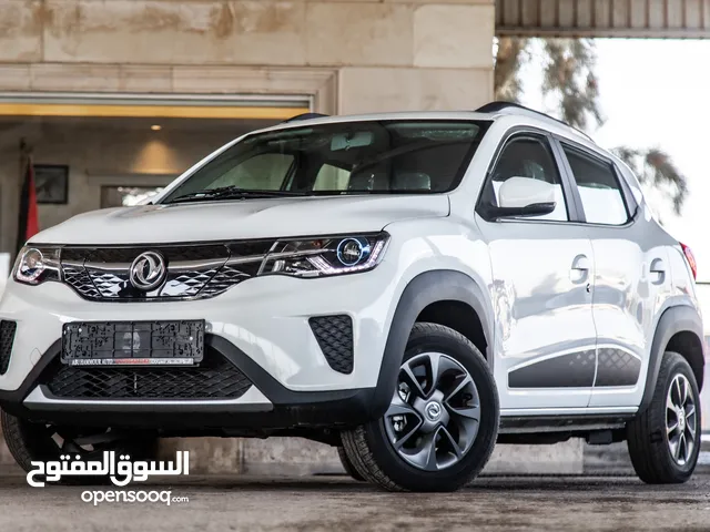 2022 Dongfeng nano box ex1