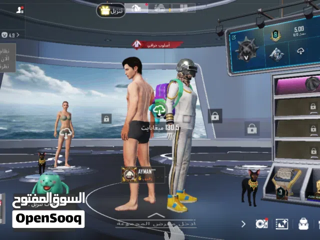 Pubg Accounts and Characters for Sale in Al Karak