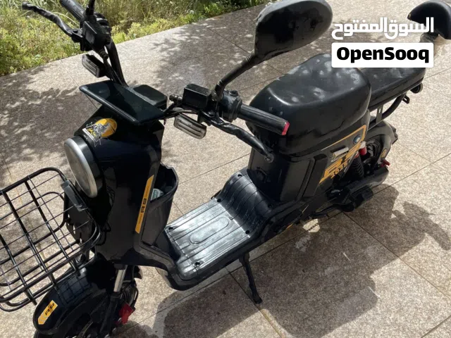 2026 اخرى اخرى