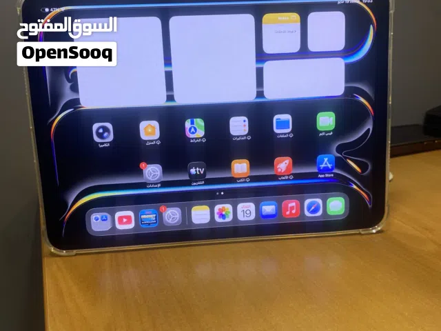 Apple iPad Pro 256 GB in Central Governorate