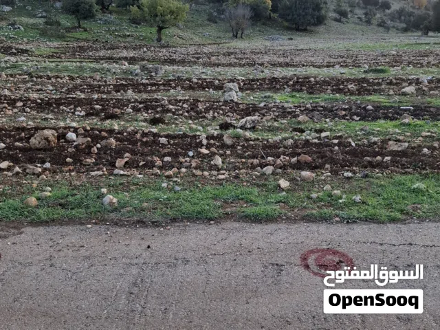 Farm Land for Sale in Ajloun Other