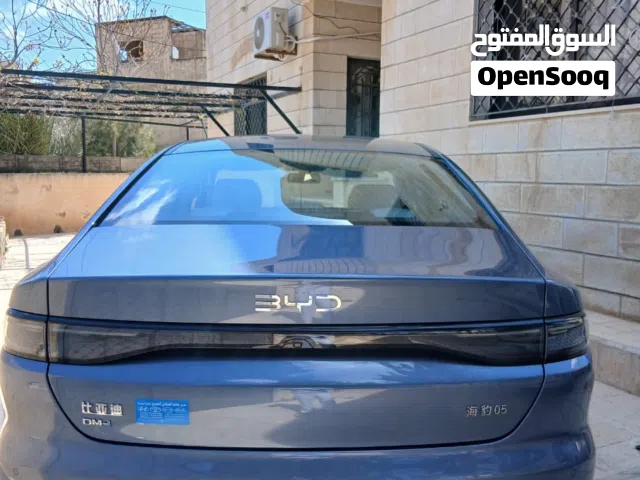 2025 بي واي دي سيل