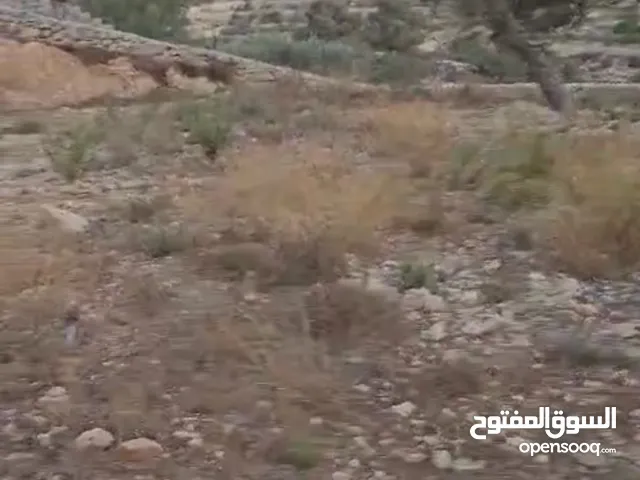 ارض في المطل دورا للبيع