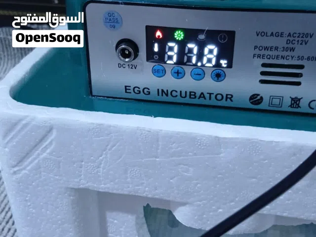 فقاسة 16 بيضة